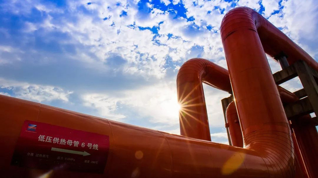 Zhejiang Zheneng Power Plant Steam Pipeline